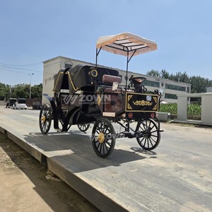 Calèche royale rétro pour les activités touristiques dans les parcs à thème vintage et les jardins - Product Image 1