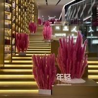 Graines de pampas rose vif, super grandes et longues, à plumes moelleuses, naturelles et séchées, pour mariage, fête des mères, remise de diplôme