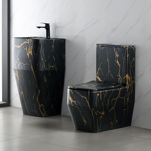 طقم مرحاض وحوض سيراميك عصري مع مرحاض مثبت على الأرض وحوض غسيل مدمج باللون الأسود الخالص والذهبي - Product Image 1