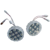 Éclairage de manèges de fête foraine 12 pixels numériques 5050, éclairage ponctuel 70 mm pour grande roue, éclairage LED RVB pour attractions, lumière de fête foraine RVB 24V