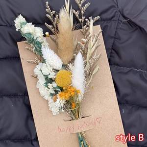 Ramos de Pampas Secas Personalizados en Oferta, Ramilletes de Pampas Secas Pequeños y Mini para Arreglos Decorativos del Día de San Valentín - Product Image 6