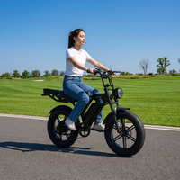 Vélo électrique à pneus larges de 20 pouces, amortisseur hydraulique avant, amortisseur à ressort arrière, double siège, pour les sorties de loisirs