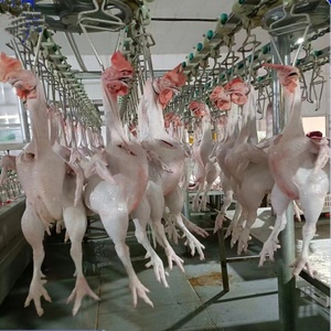 Chaîne d'Abattage Complète de Poulets CE ISO en Acier Inoxydable, Capacité 500-5000 Vol./h pour Abattoir - Product Image 1