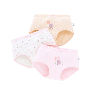 <span class=keywords><strong>Slip</strong></span> da <span class=keywords><strong>Donna</strong></span> in <span class=keywords><strong>Cotone</strong></span> Confortevole all'Ingrosso, Intimo Quotidiano per Ragazze e Donne con Motivo a Quadri Ricamato - Product Image 3