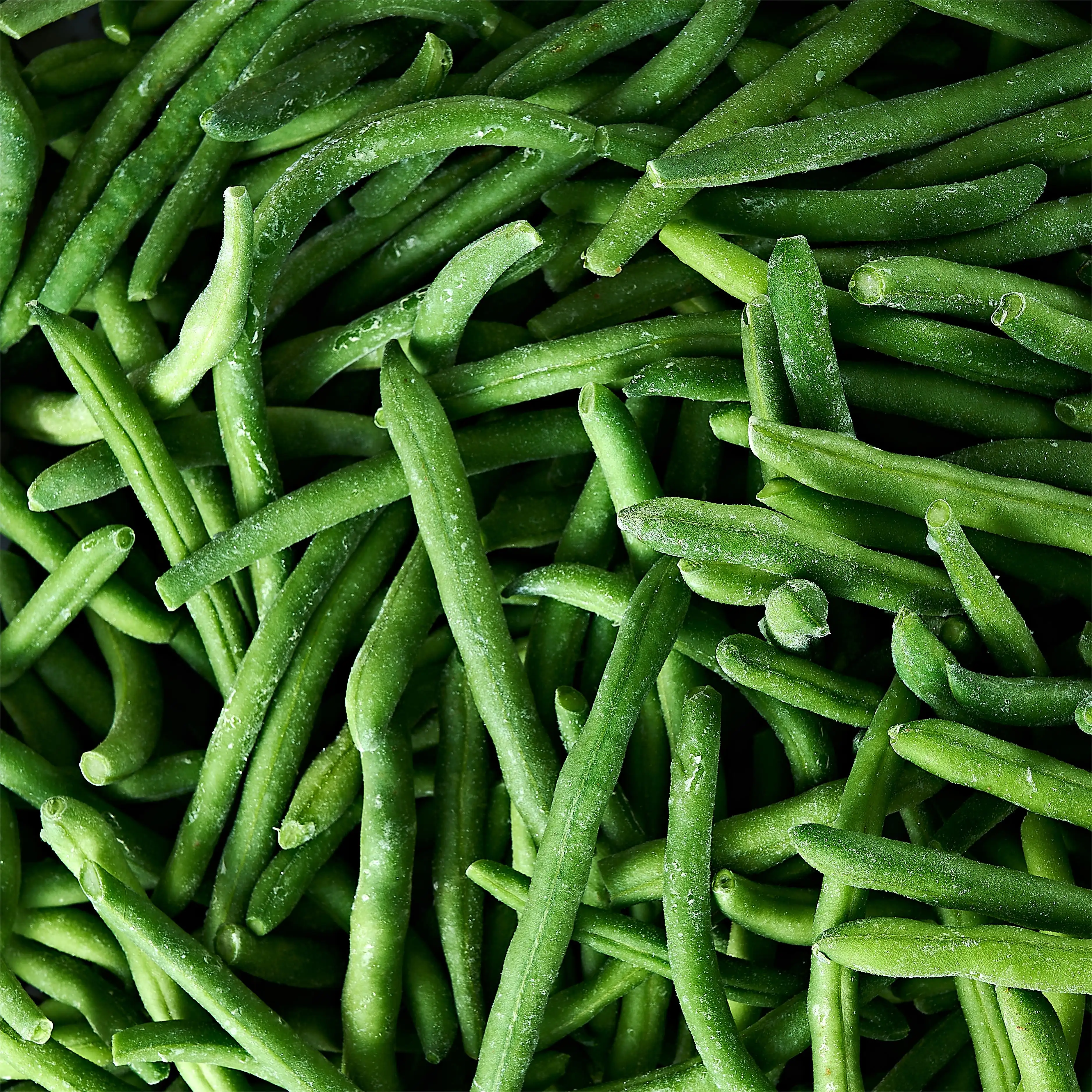 factory direct sales frozen green bean whole wholesale and export of frozen green bean whole
