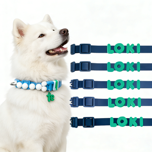 <span class=keywords><strong>Collare</strong></span> in Silicone Personalizzato per Cani <span class=keywords><strong>con</strong></span> Incisione del <span class=keywords><strong>Nome</strong></span> Prodotto <span class=keywords><strong>Collare</strong></span> in Silicone Personalizzato per Cani <span class=keywords><strong>Collare</strong></span> in Silicone Personalizzato per Cani - Product Image 1