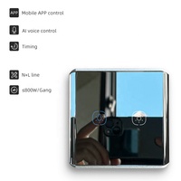 Interruttore Intelligente WiFi Tuya Smart Life N+L Control 2 Gang Standard UK/EU con 10A Max. Corrente