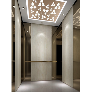 Entraînement AC moderne sans engrenage de 800kg pour ascenseur de passager des entreprises d'ascenseurs commerciaux et résidentiels pour une utilisation dans les centres commerciaux - Product Image 2