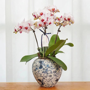 Handmade Vase <b>Tall</b> Round Floor Vase, Retro Art Porcelain&ceramic Flower Vase, Living Room Decoration Modern <b>Table</b> Vase for Hotel - Product Image 2