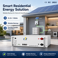 Batterie LiFePO4 CFE-5 51,2 V 100 Ah 5 kWh pour système de stockage d'énergie solaire, 6000 cycles, montage mural CAN, batterie domestique pour sauvegarde