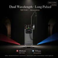 Appareil d'épilation laser Alexandrite 755nm/1064nm à impulsions longues, vertical, professionnel, indolore, pour usage commercial, peaux foncées