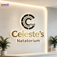 Enseigne Murale Lumineuse LED 3D Personnalisée en Acrylique et Acier Inoxydable, Étanche IP65, pour Intérieur/Extérieur, Logos d'Entreprises, Bureaux, Façades de Magasins, Centres Commerciaux