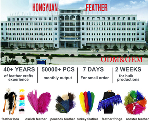 Broche de Pluma Natural Hecho a Mano Personalizado <span class=keywords><strong>para</strong></span> Solapa, Lazo de Pluma <span class=keywords><strong>para</strong></span> Boda, Accesorio de Fiesta, Esmoquin <span class=keywords><strong>para</strong></span> Hombre, Corbata, Disfraz, Ropa - Product Image 6