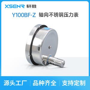 Manómetro de Acero Inoxidable Suzhou Xuan Sheng YBF-100Z 100mm Analógico 0 a 1.6Mpa Conexión Roscada - Product Image 3