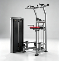 Máquina de Dominadas Ajustable de Acero para Gimnasio Comercial, Equipo de Fitness para Entrenamiento de Espalda, Pecho, Piernas y Brazos