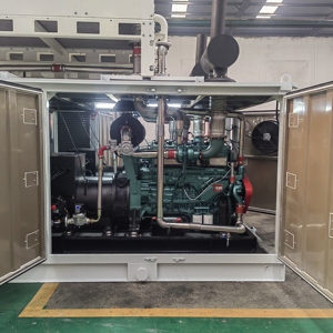 Máy phát điện khí tự nhiên cho một sức mạnh của 10 mW: 1x1 mwh hoặc 5x2 mwh nước nóng điều kiện làm việc. - Product Image 2