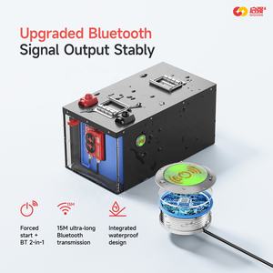 Daly Smart BMS Lithium ion Li-ion LifePO4 LTO Batterie 4S 8S 10S 12V 24V 200A pour camion bateau voiture démarrage NMC LFP BMS Board Daly - Product Image 4