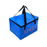Koeltas voor zomer of winter, draagbare koeltas, koeltassen