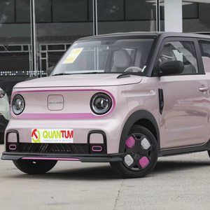 Auto Elettrica Geely <span class=keywords><strong>Panda</strong></span> Mini EV Versione Knight 210KM, <span class=keywords><strong>Serie</strong></span> Completa Geely <span class=keywords><strong>Panda</strong></span>, <span class=keywords><strong>3</strong></span> Porte, 4 Posti, Hatchback, Auto Elettrica Pura, Marca Cinese - Product Image 1