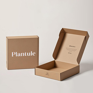 Hộp bưu phẩm giấy sóng sinh học kiểu máy bay, hộp quà tặng tùy chỉnh, bao bì sản phẩm, hộp kraft có nắp bản lề - Product Image 1