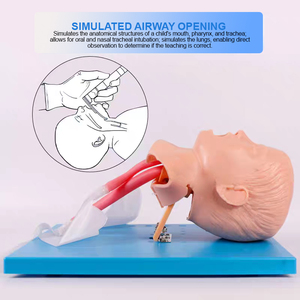Maniquí de Simulación Humana de PVC ADA BIX-J4A para Vías Respiratorias Infantiles, Ciencia Médica, Intubación Traqueal, Enseñanza, Aprendizaje de Anatomía - Product Image 6