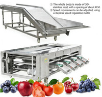 Appel Perzik Granaatappel Mandarijn Sinaasappel Avocado Peer Fruit Sorteer- en Classificeermachine