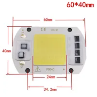 Puces LED COB intelligentes sans conducteur 20W 30W 50W Blanc Chaud Bleu AC 220V pour modules LED de projecteurs intérieurs DIY