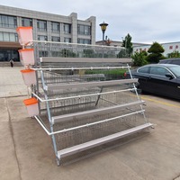 Cage de poussins de type A galvanisée pour élevage de volailles
