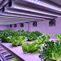Conteneur de culture hydroponique verticale à haut rendement avec éclairage LED et contrôle précis de l'humidité pour usine de culture