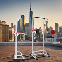 Tour de puissance en acier multifonctionnelle portable équipement de musculation à usage domestique barre de traction Push-Up Dip barres parallèles en métal