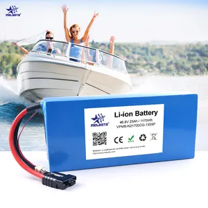 Bateria portátil personalizada 21700 46,8v 25ah 13s5p 10c Bateria de lítio Li-Ion