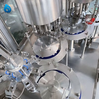 Vanne rotative pour remplissage automatique de Soda et d'eau minérale, pour la Production d'eau minérale en bouteilles, petite Machine