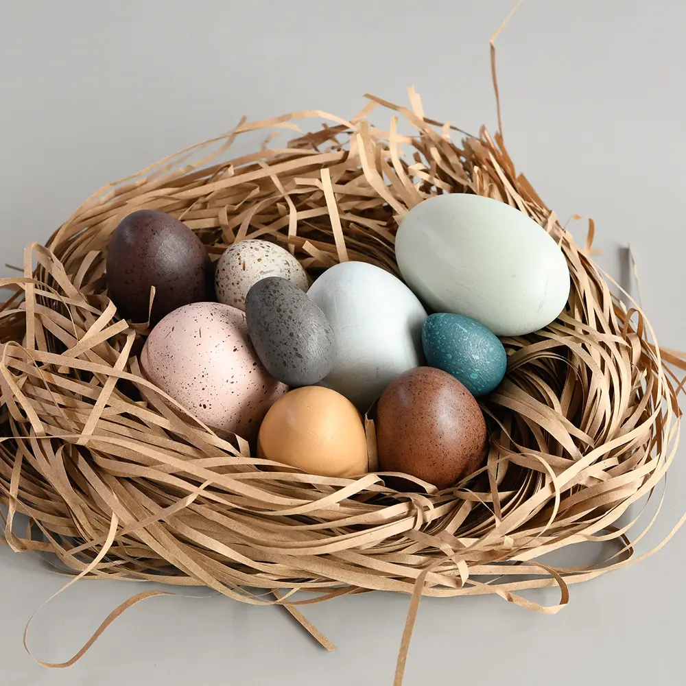 Hoye Crafts Wood geben vor, Eier für Kleinkinder zu spielen Bird Eggs Toys Kinder spielen Holze ier