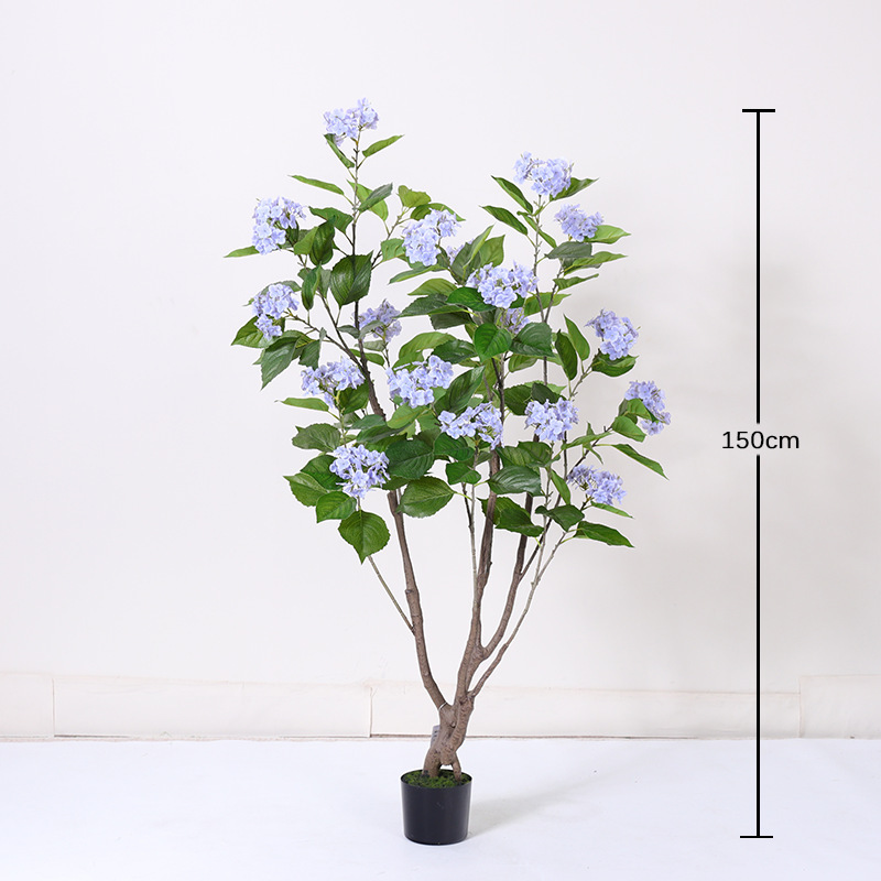 ต้นไฮเดรนเยียสีม่วง - 150 ซม.