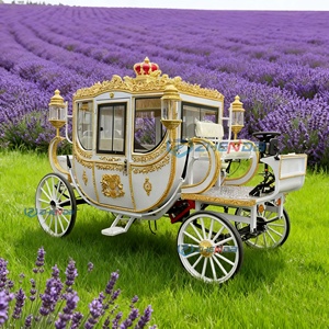 Carruaje de Caballos Iluminado para Navidad, Carruaje Eléctrico para Bodas, Carruaje Real de Caballos en Venta, el Carruaje de Caballos Eléctrico SS - Product Image 2