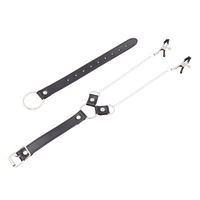 Nippelklemmen mit Penisring aus Edelstahl, lange Kette, Hoden-Bondage, Nippelstimulator, erotisches BDSM-Sexspielzeug für Männer und Paare