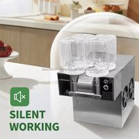 DAWNTECH Vierkleuren Sneeuw IJs Vlokkenmachine voor Bingsu Catering RVS Energiezuinig Certificaat Fruit & Melk Geschikt