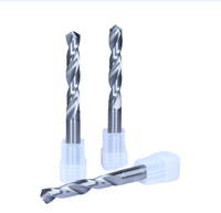 En stock Foret hélicoïdal à queue droite à 2 cannelures pour maquillage de précision