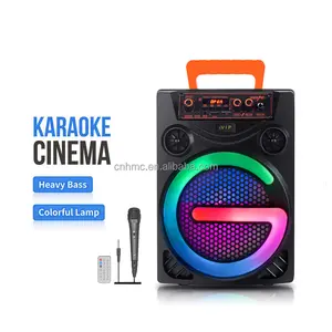 8-inch Trolly Bocinas Bluetooth Speaker Wireless Outdoor Portable Karaoke Microphone Speaker With Ball Lights