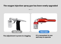 Pistolet pulvérisateur nano portable pour soins capillaires, machine anti-rides, raffermissant cutané, pulvérisateur facial, enrichissement en oxygène, compatible prises US et EU