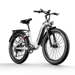 Bicicleta de Montaña Ligera para Descenso, al por Mayor, Fabricada en China, para Hombre, 1000w - Product Image 5