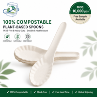 Cuillère à dentelle biodégradable, sans PFAS, recyclable, à bords lisses, tendance, pour service de restauration événementielle