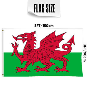 Drapeau du <span class=keywords><strong>pays</strong></span> <span class=keywords><strong>de</strong></span> <span class=keywords><strong>Galles</strong></span> en gros personnalisé tous les <span class=keywords><strong>pays</strong></span> drapeau national 3x5 FT extérieur suspendu fibre <span class=keywords><strong>de</strong></span> polyester livraison rapide personnalisé - Product Image 3
