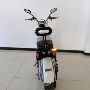 2024 nuovi scooter elettrici da uomo 1500W/2000W in lega di alluminio più nuovo Design E-Bike 10 pollici durevole grande ruota Citycoco