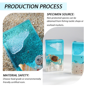 Véritable insecte coléoptère spécimen éducatif taxidermie modèle biologique résine artisanat pour aide à l'enseignement presse-papiers pour bureau salle de classe - Product Image 5