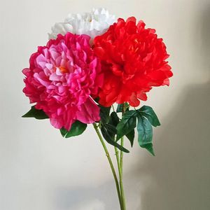 Fleurs de pivoine artificielles à tige unique 75 cm Bouquet Décoration de mariage et de maison - Product Image 2