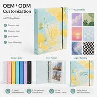 Carpeta de Anillas A5 de Plástico PP con Correa Elástica y Bolsillos Interiores Transparentes de Ancho Completo, Impresión Personalizada, Proveedor OEM ODM