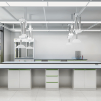 Banc de laboratoire universitaire tout acier, poste de travail latéral pour l'enseignement et la recherche scientifique en collège, mobilier de laboratoire
