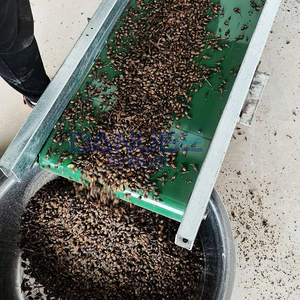 Máquina de secado de hierbas DANUBE, cinturón de malla, secador de Forsythia, maquinaria de deshidratación de Forsythia, línea de corte y secado de limpieza de Forsythia - Product Image 4