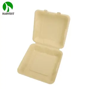 Contenedor Desechable Biodegradable de Pulpa de Bambú de 8 Pulgadas Cuadradas para Comida para Llevar con Relieve - Product Image 3